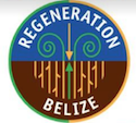 regeneration
                          belize on facebook
